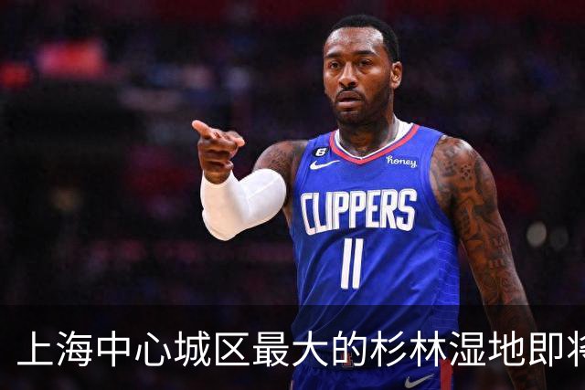 上海中心城区最大的杉林湿地即将进入最佳观赏期，记者实探