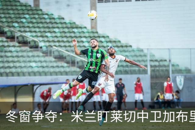 冬窗争夺：米兰盯莱切中卫加布里埃尔 埃弗顿水晶宫已询价