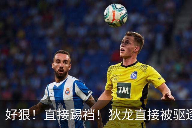 好狠！直接踢裆！狄龙直接被驱逐！