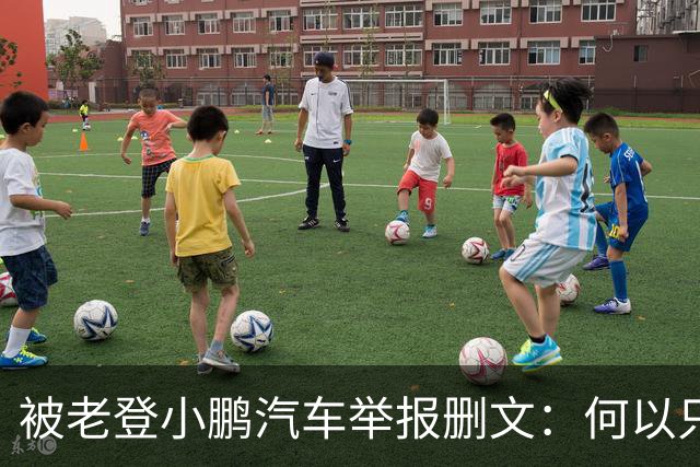 被老登小鹏汽车举报删文：何以只许小鹏“点登”，不许网友点评？