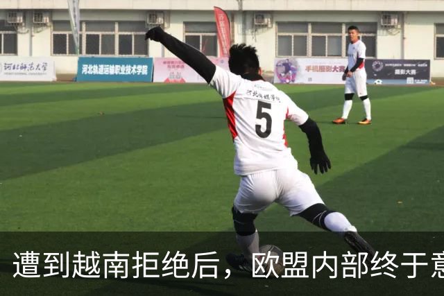 遭到越南拒绝后，欧盟内部终于意识到：什么叫 “中国力量”！