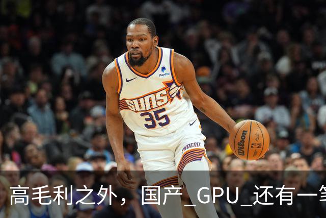 高毛利之外，国产 GPU 还有一笔 “软件账”
